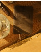 Ecolier Victorien au choix