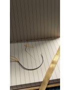 Ecolier Victorien Corail