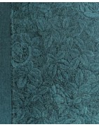 Ecolier Roses Vertes