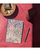 Ecolier Natural Ulys